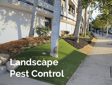 Landscape Pest Control